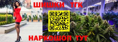 гашик Будённовск