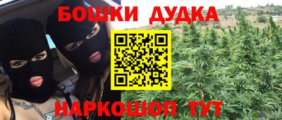 гашик Будённовск