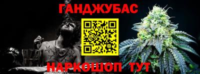 гашик Будённовск