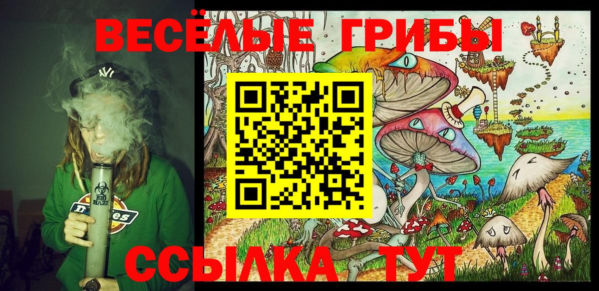 как найти   Псилоцибиновые грибы Magic Shrooms  Вход с VPN  Сердобск 